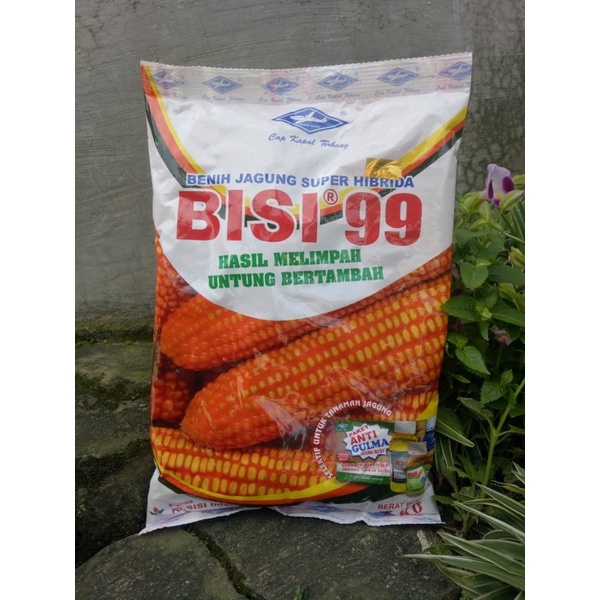 Jual Benih Jagung Hibrida Bisi 99 Kemasan 1 Kg Shopee Indonesia 9352