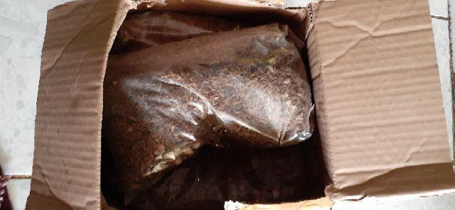 Media Tanam Kaktus/sukulen