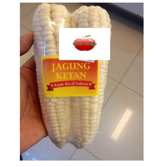 

KETAN-BERAS- JAGUNG KETAN / JAGUNG KETAN PUTIH FRESH -BERAS-KETAN.