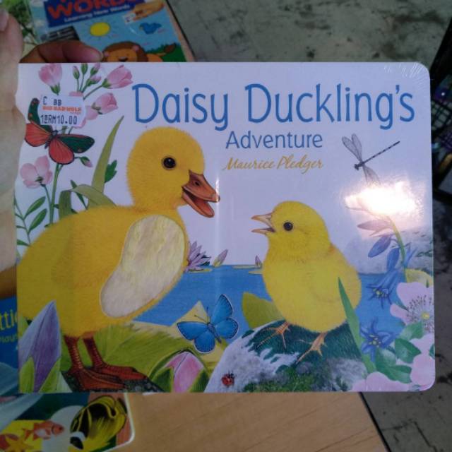 SALE BUKU BBW KL daisy duckling