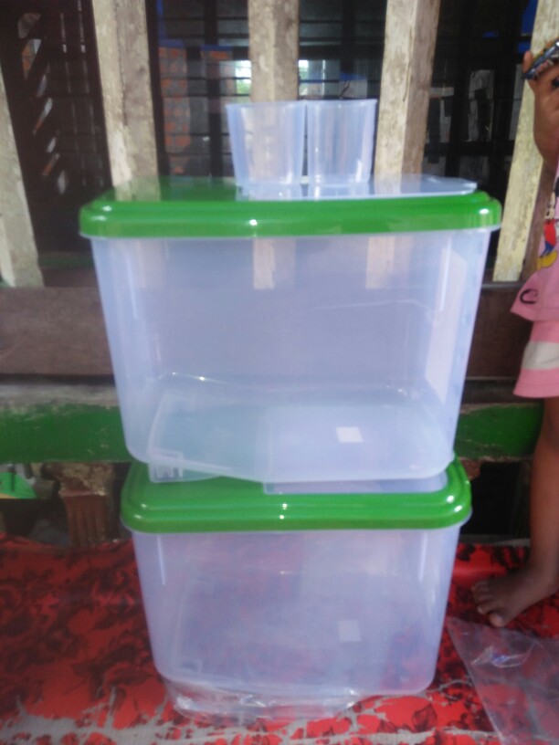 Rice Box 12,5 Kg Lion Star Tempat Beras Rb-17 Oriza