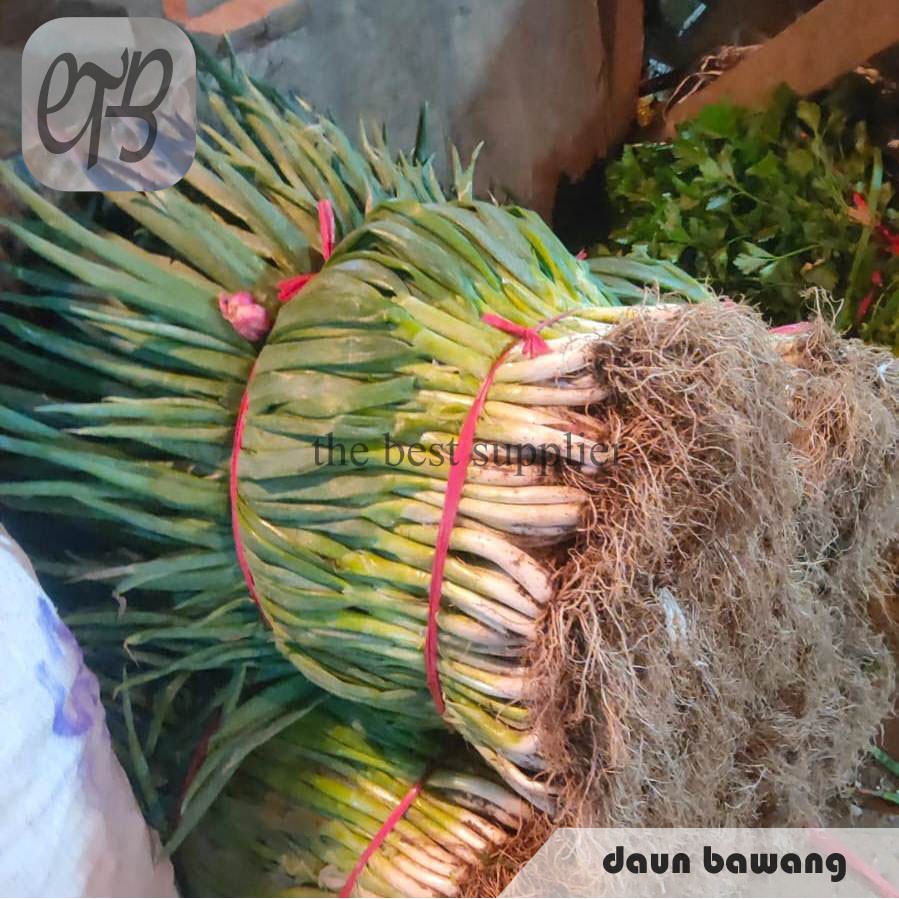 

Daun Bawang Segar