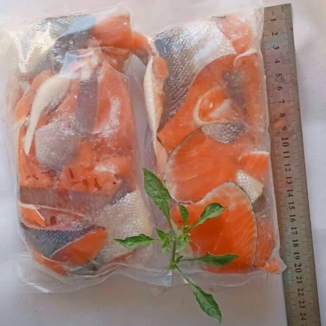 

Tetelan salmon