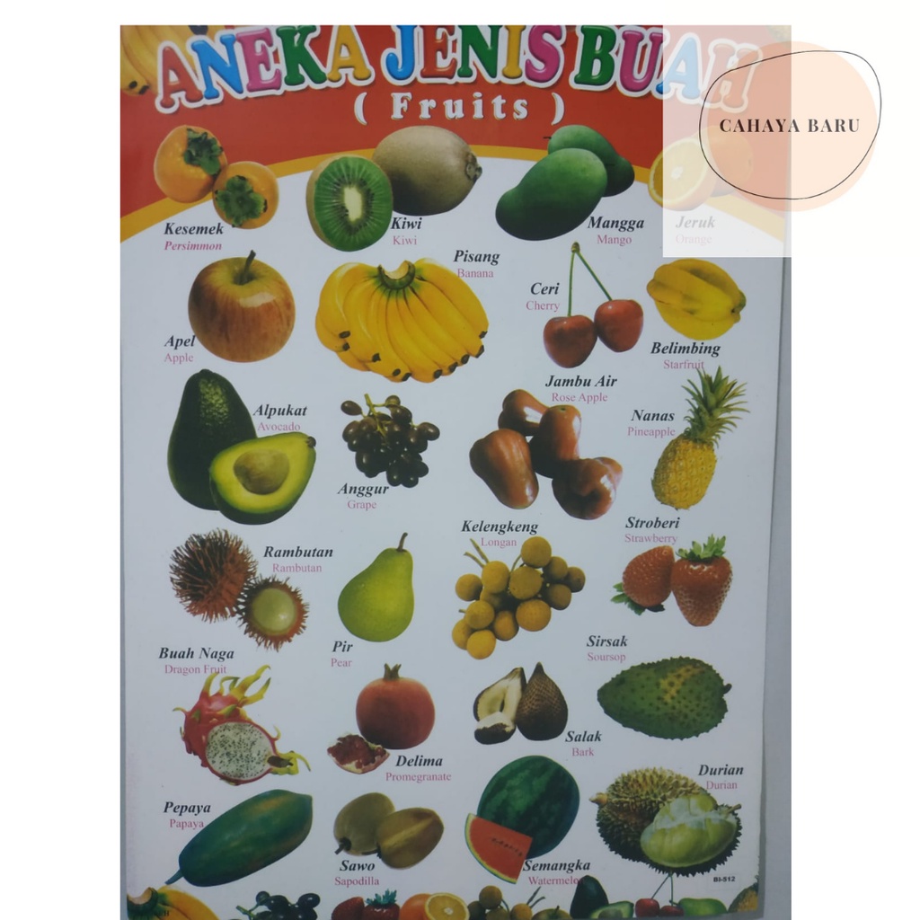 

Poster Edukasi Anak Mengenal Aneka Jenis Buah-Buahan