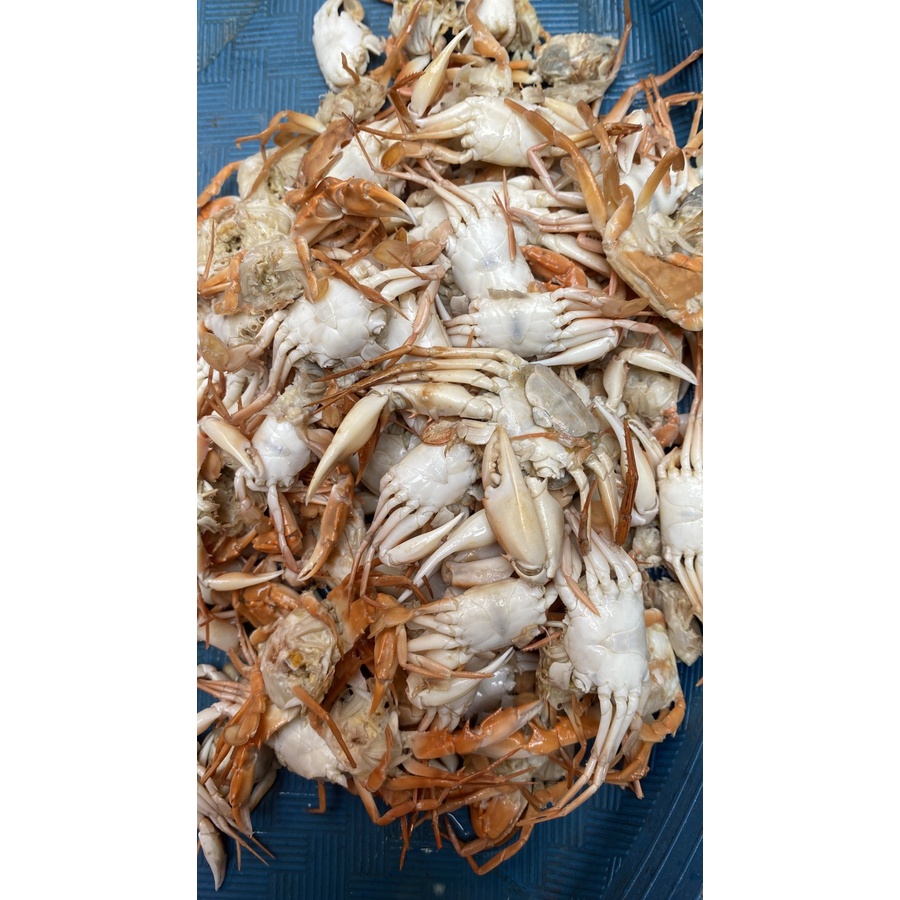 Baby Crab Frozen 1kg Mini Crab Kepiting Kecil Mentah