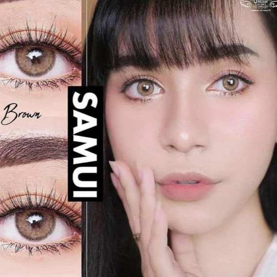 SAMUI BROWN BY DREAMCOLOR1