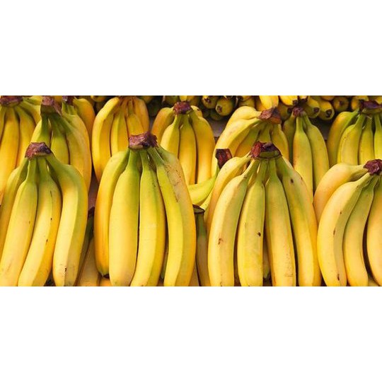 

Pisang Cavendish (isi 3)