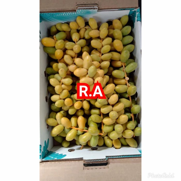 

Kurma Terbaru - Kurma Muda Segar/Fres Bukan Frozen Per 2Kg