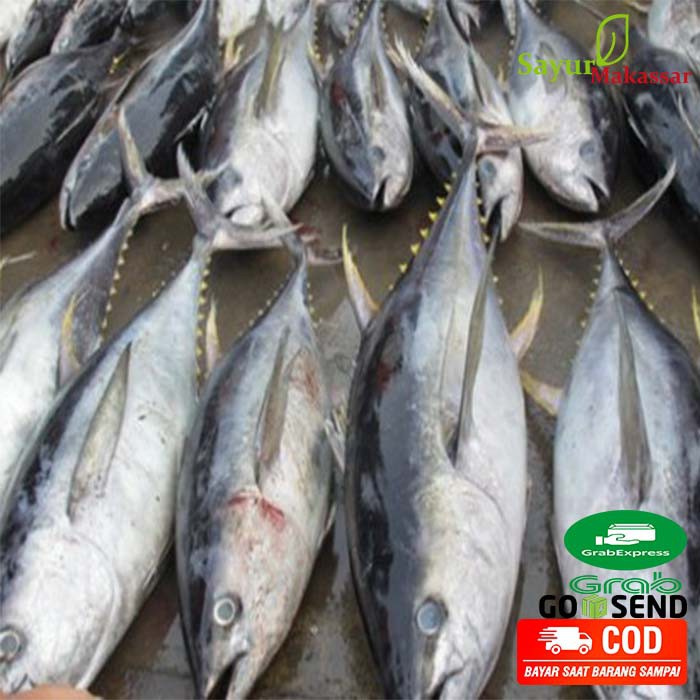 

Ikan Tuna Segar Per Ekor sudah dibersihkan dan dipotong potong Pasar Online Makassar