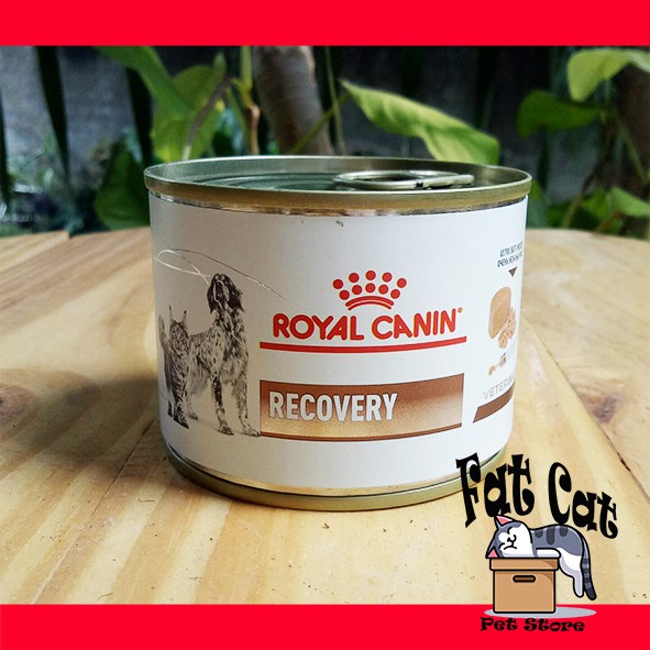 Royal Canin Recovery 195 gram Makanan basah Kucing &amp; Anjing