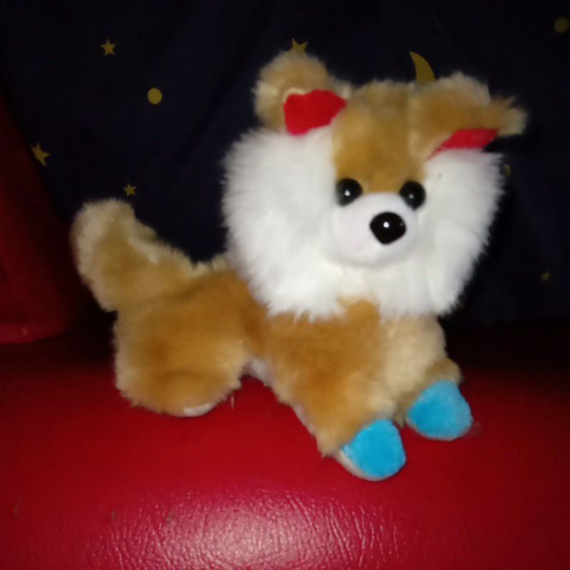 boneka kucing kecil random