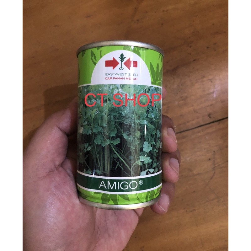 Benih Seledri Amigo 50gram