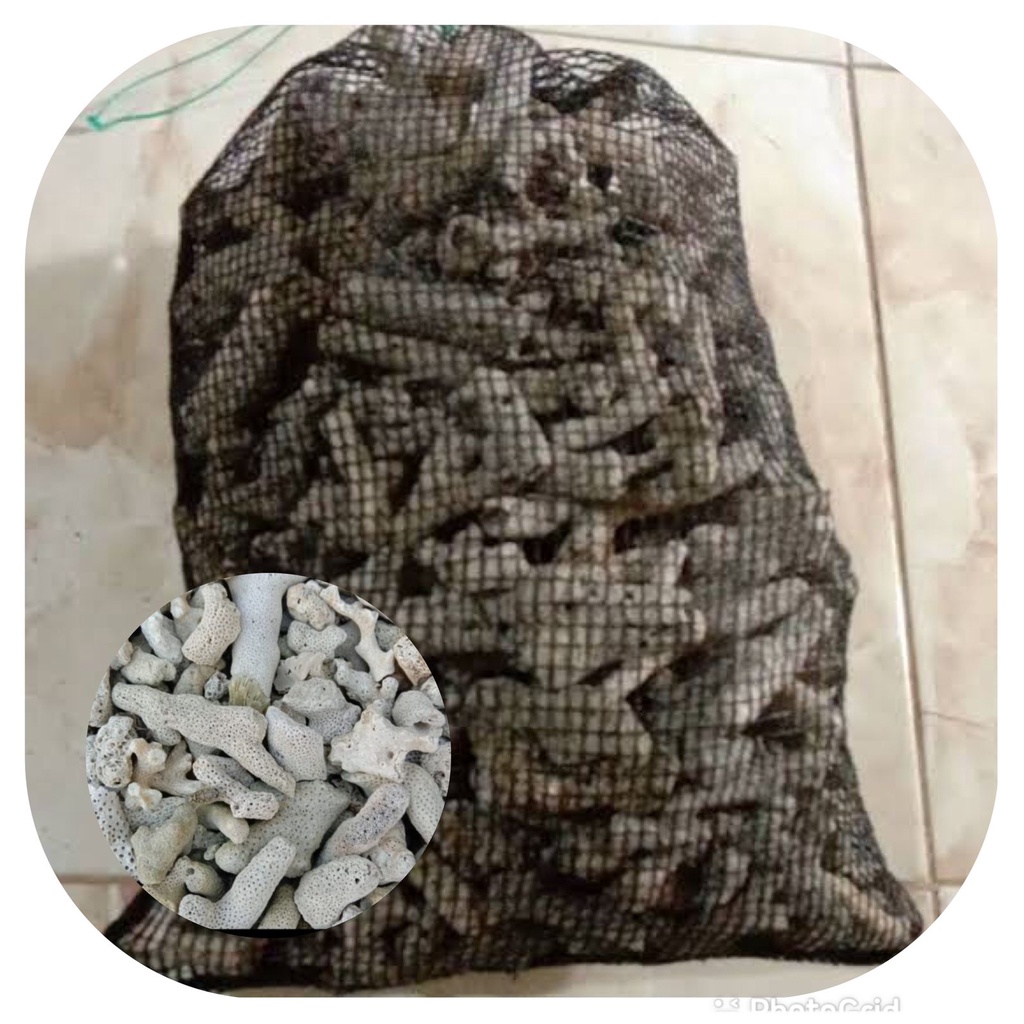 KARANG JAHE MEDIA FILTER AQUASCAPE AQUARIUM 2 KG / BATU KARANG JAHE 2 KG