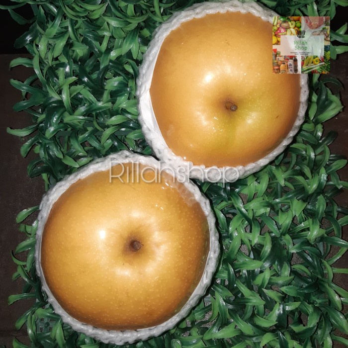 

Buah Pear Singo Korea Super (750 gram)