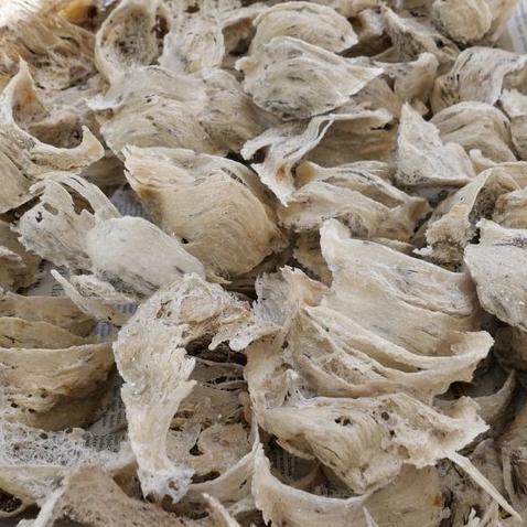 monggo] Sarang burung walet mangkok kotor tanpa obat 1kg