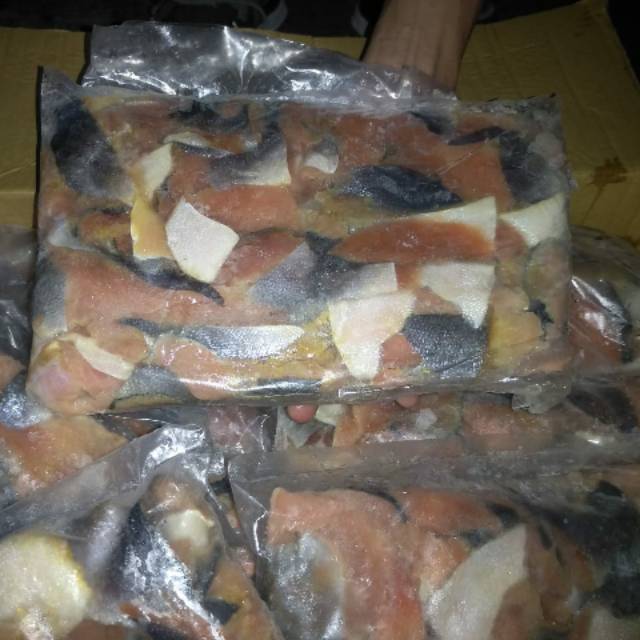 

Tetelan Ikan salmon