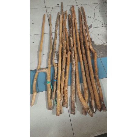KAYU GADING ASLI KALIMANTAN