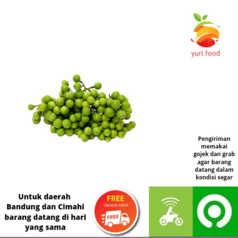 

Leunca 250 gram (Cimahi satu hari sampai)