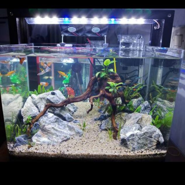 Lampu Aquascape Ukuran 40 Cm - LAMPURABI