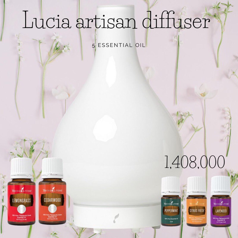 ヤングリビング ディフューザー Lucia Artisan 新品 日本未発売 【保証