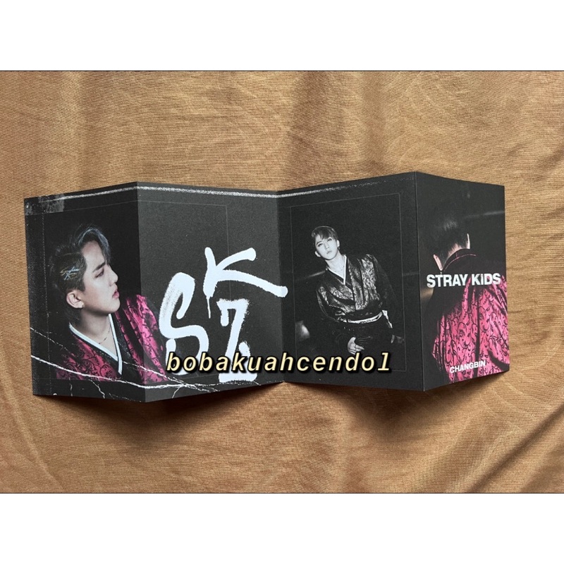 stray kids skz in life pob mini photobook changbin