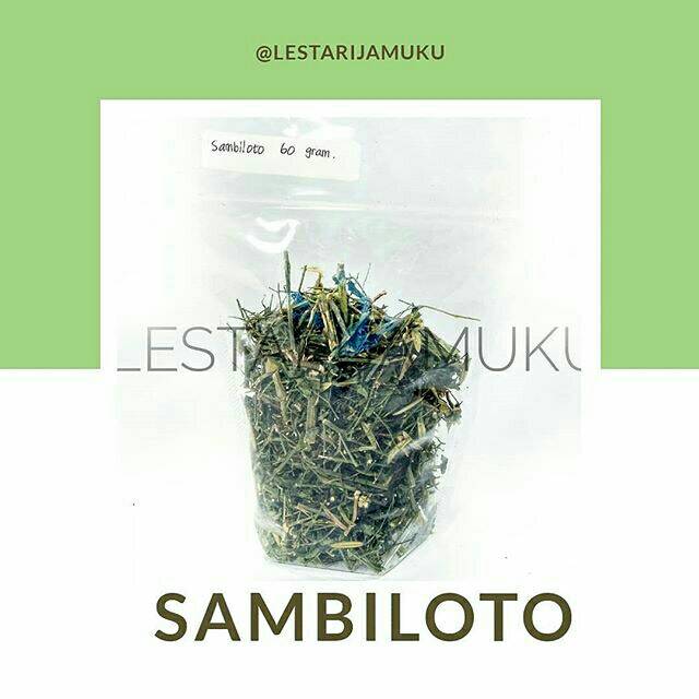 

Sambiloto Kering Simplisia