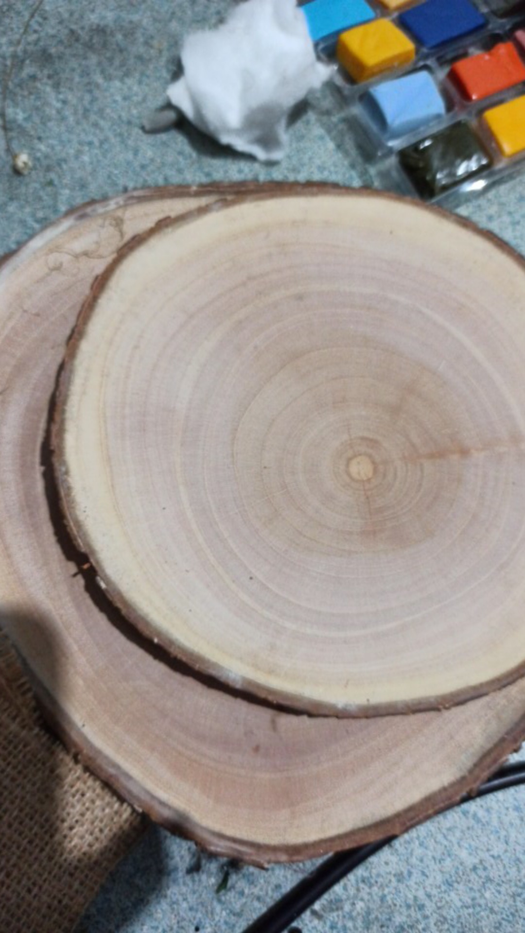 Wood Slice 23-25 Cm Log Kayu Hiasan Dinding Bahan Craft Dekorasi