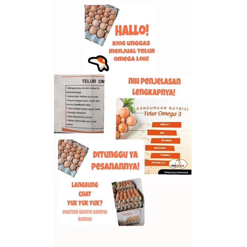 

TELUR OMEGA 3