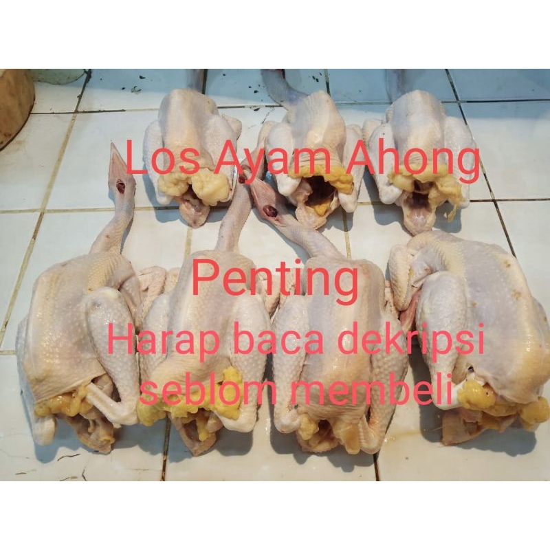 

Ayam kampung Asli Berat Bersih 601-700 gram