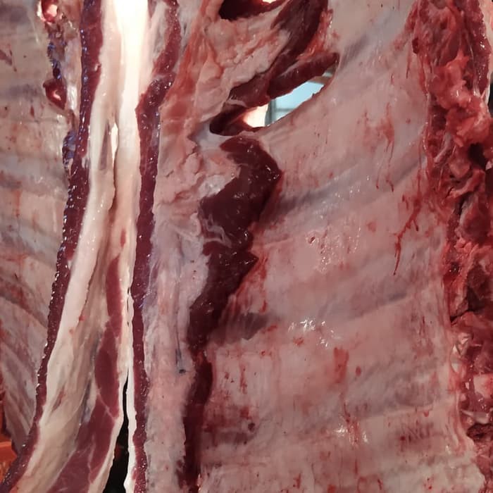 

Tulang Iga Sapi [500gr]