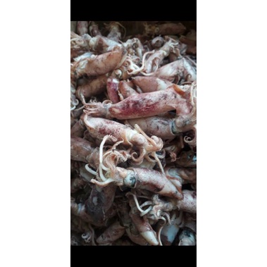 

TERMURAH Cumi Asin basah ukuran sedang | Ikan Asin | Cumi Asin