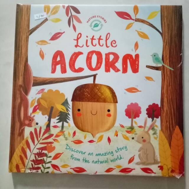 

Little acorn