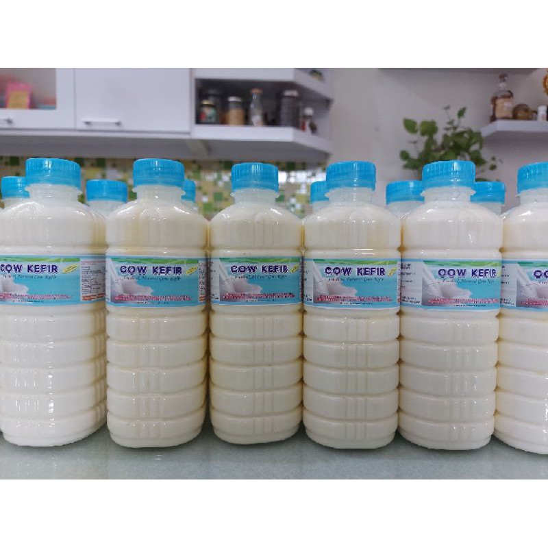 

kefir susu sapi grosir 4 liter