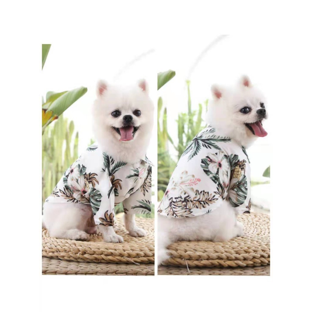 Baju Anjing Kucing | Kostum Kaos Kemeja Hawaii Aloha | Pet Aloha Hawai Shirt Clothes