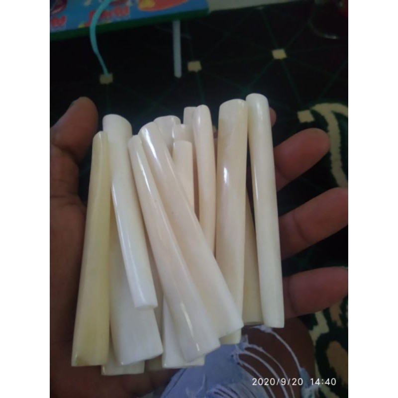 pipa tulang sapi