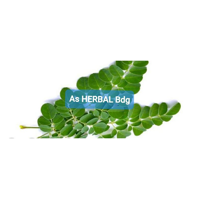 

Jual daun kelor segar per 20 tangkai-az