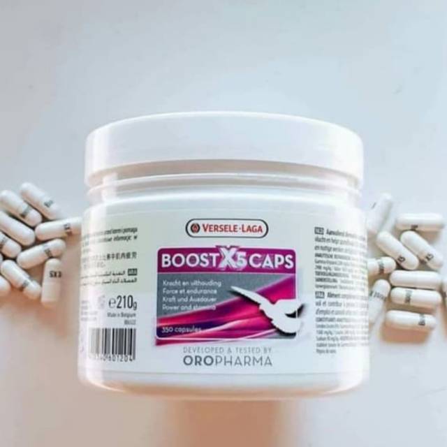 VERSELE LAGA - BOOST X5 CAPS VITAMIN BURUNG MERPATI KONTES PENDONGKRAK ENERGI