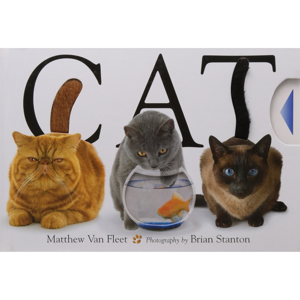 CAT by Matthew Van Fleet