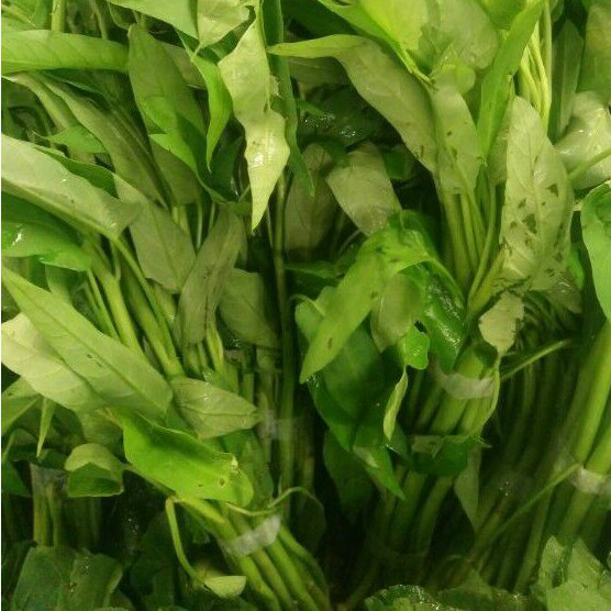 

Kangkung Fresh (G.1)