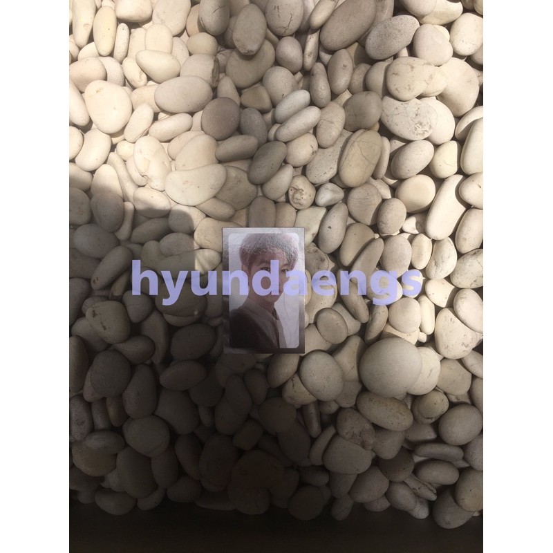 Felix Levanter Silver Border PC