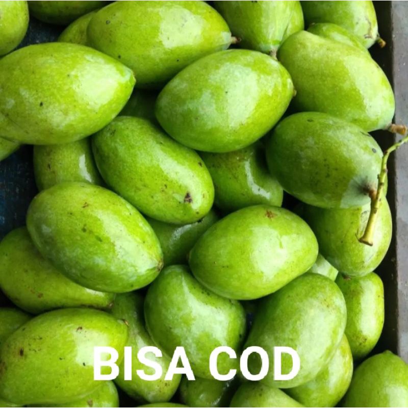 

Mangg Muda - 1 Kg (BONUS PETIS)