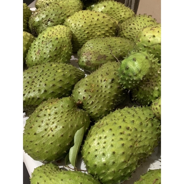

SIRSAK RATU MANIS ORGANIK (fresh dari ladang sendiri) 1500g