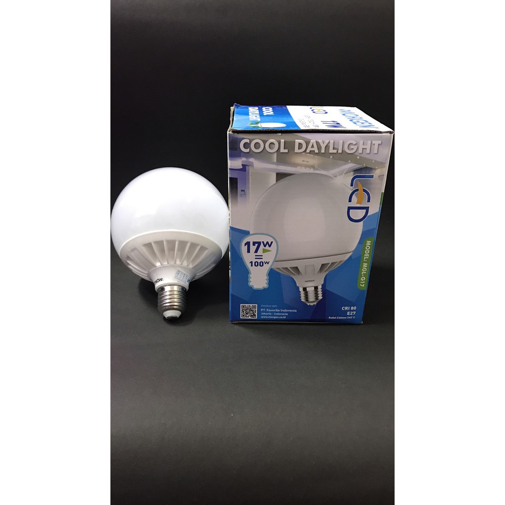Morgen led 17W cool daylight