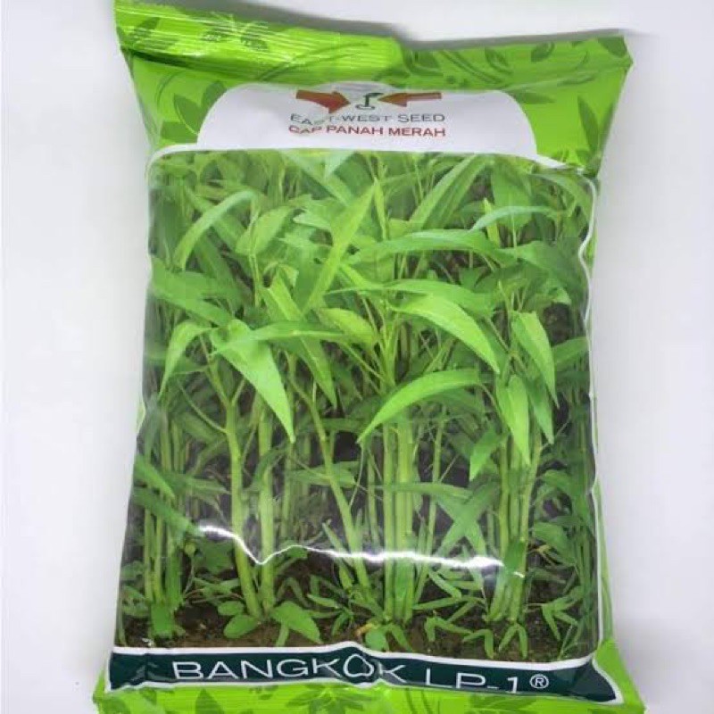 Benih Kangkung Bangkok LP-1