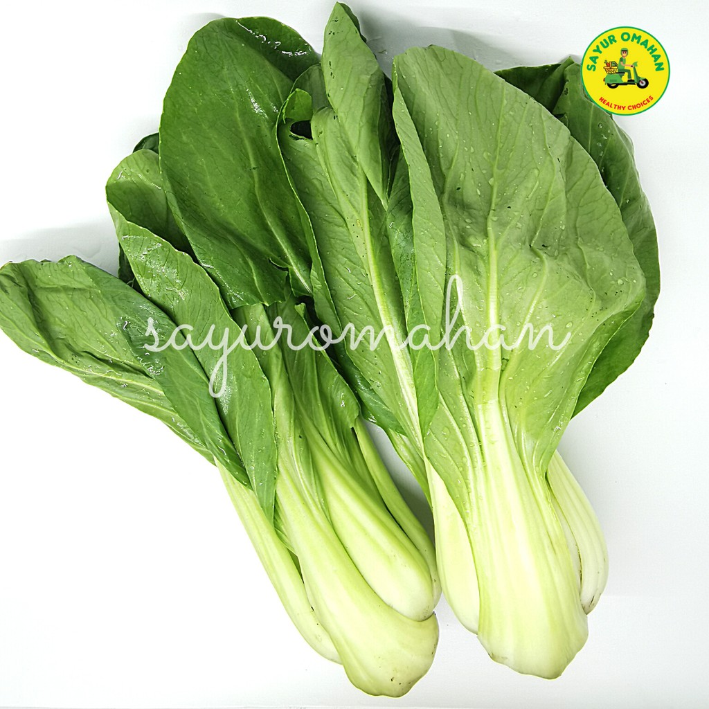 

Sayuran - Pak Choy / Bok Choy / Sawi Sendok