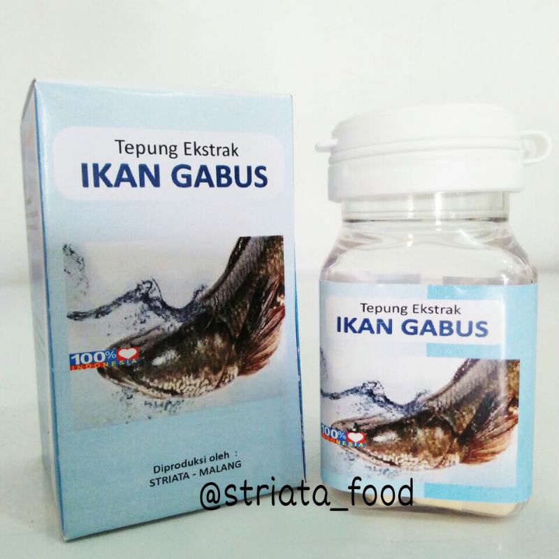 Kapsul Ekstrak Ikan Gabus Striata