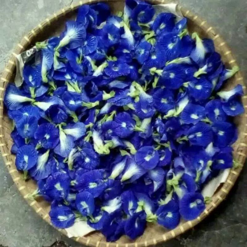 

Teh bunga telang/ butterfly tea flower/ teh biru herbal 50gr