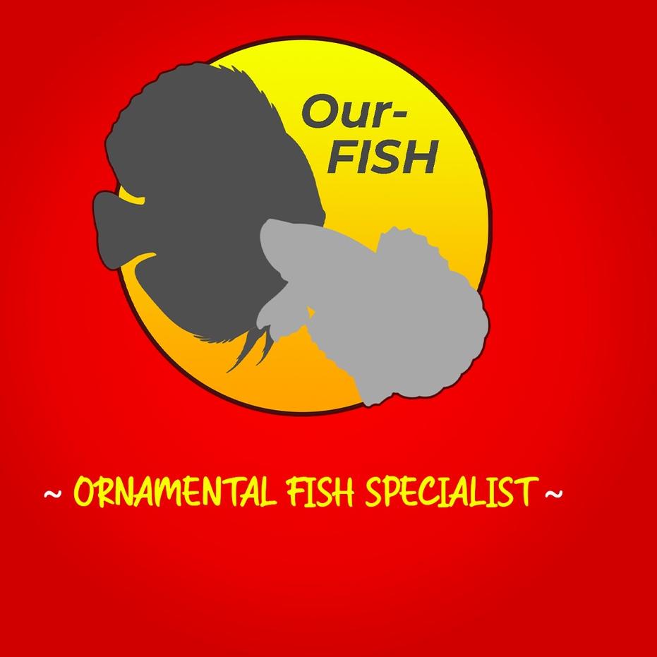 ECONSAVE Obat Mutasi Ikan Channa BEST MUTATION Vitamin Ikan Channa Maru Barca Asiatica Andrao Yellow