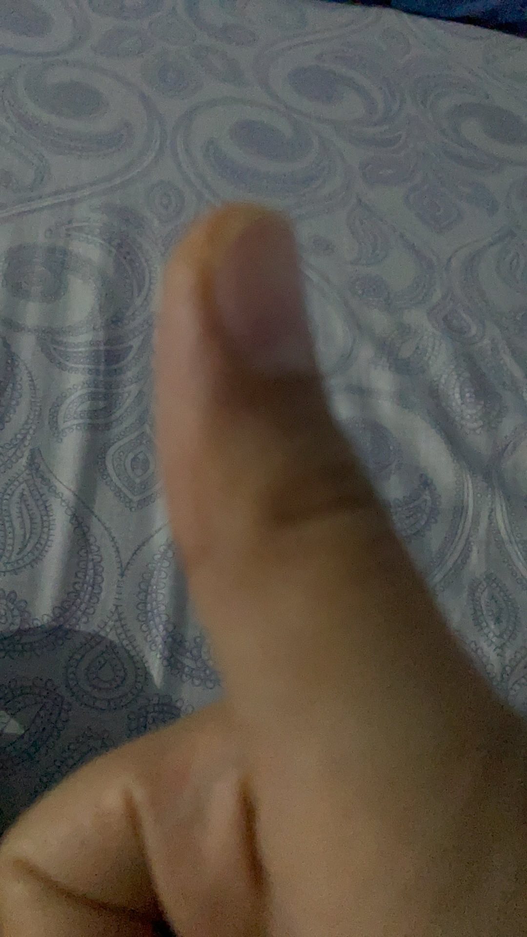 Kotak Bekal Makanan Lunch Box Yooyee Mini 4 Sekat Tempat Penyimpan Makanan Anti Tumpah