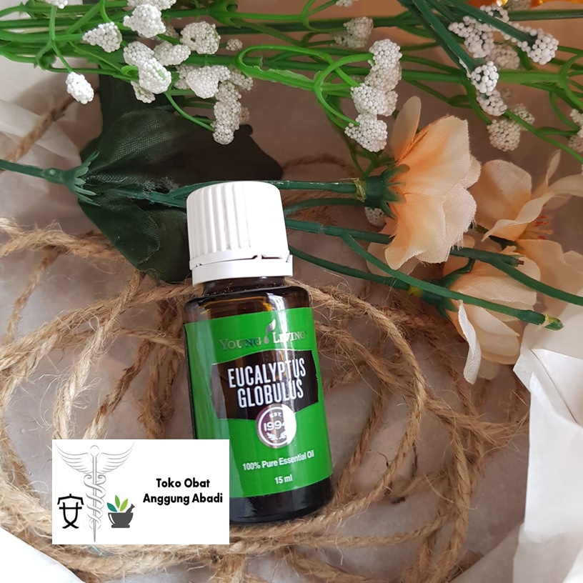 YL Minyak Esensial / Essential Oil Eucalyptus Globulus 15ML SEGEL